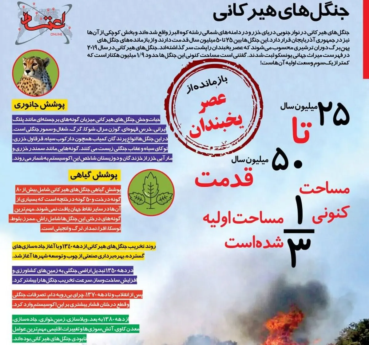 جنگل‌های هیرکانی میراثی ماندگار از عصر یخبندان