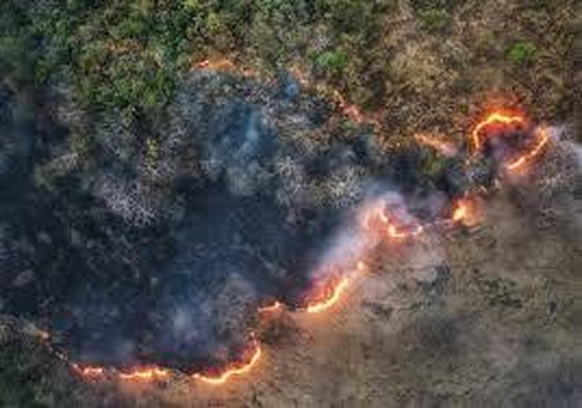 آتش به جان جنگل‌های استان گلستان هم افتاد + فیلم