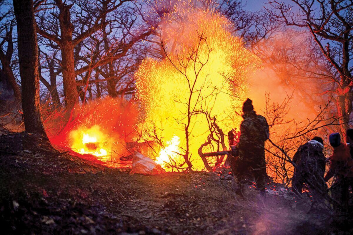 اولین تصاویر از حجم خسارت آتش‌سوزی جنگل‌های الیت+ فیلم