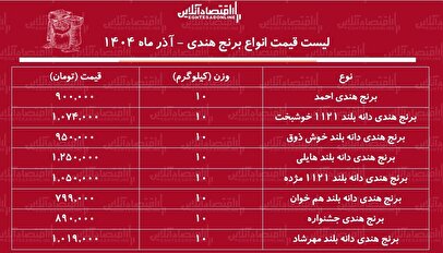 لیست قیمت انواع برنج هندی آذر ۱۴۰۴ / کیسه ۱۰ کیلویی برنج هندی مژده، هایلی و ....چند شد؟ + جدول
