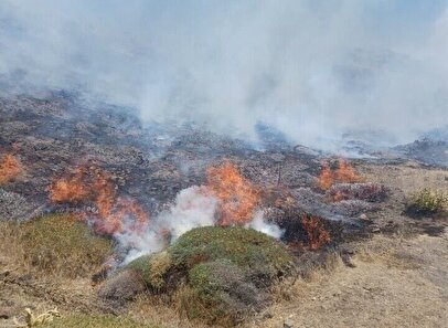 آتش به جان جنگل ابر شاهرود افتاد/ سومین جنگل ایران دچار حریق شد