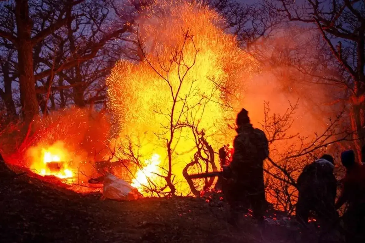 پشت پرده آتش‌سوزی جنگل‌های هیرکانی برملا شد+ فیلم