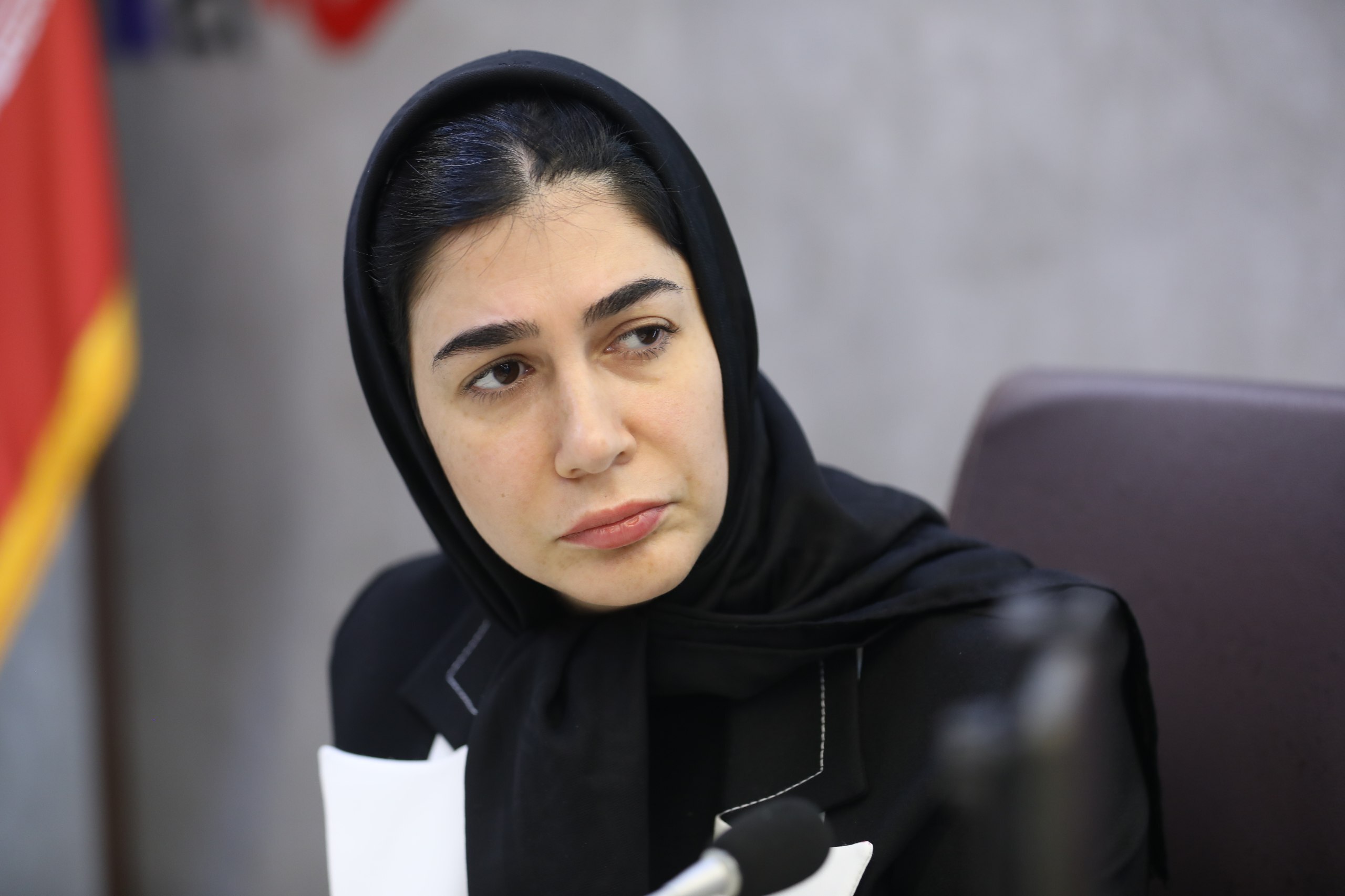 حق بیمه اجباری، ابزار جبران کسری بودجه تامین اجتماعی / پلتفرم‌های اقتصاد دیجیتال حامی بیمه رانندگان، اما نه به روش اجباری