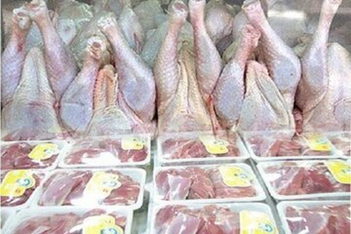 مرغ و گوشت ارزان می‌شود؟/ افزایش تولید در سال جاری