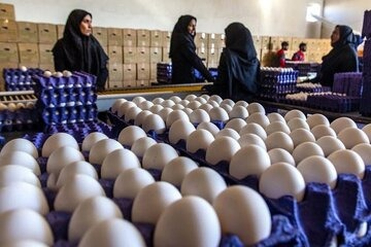 ایران صادرات این محصول را ممنوع کرد ایران صادرات این محصول را ممنوع کرد