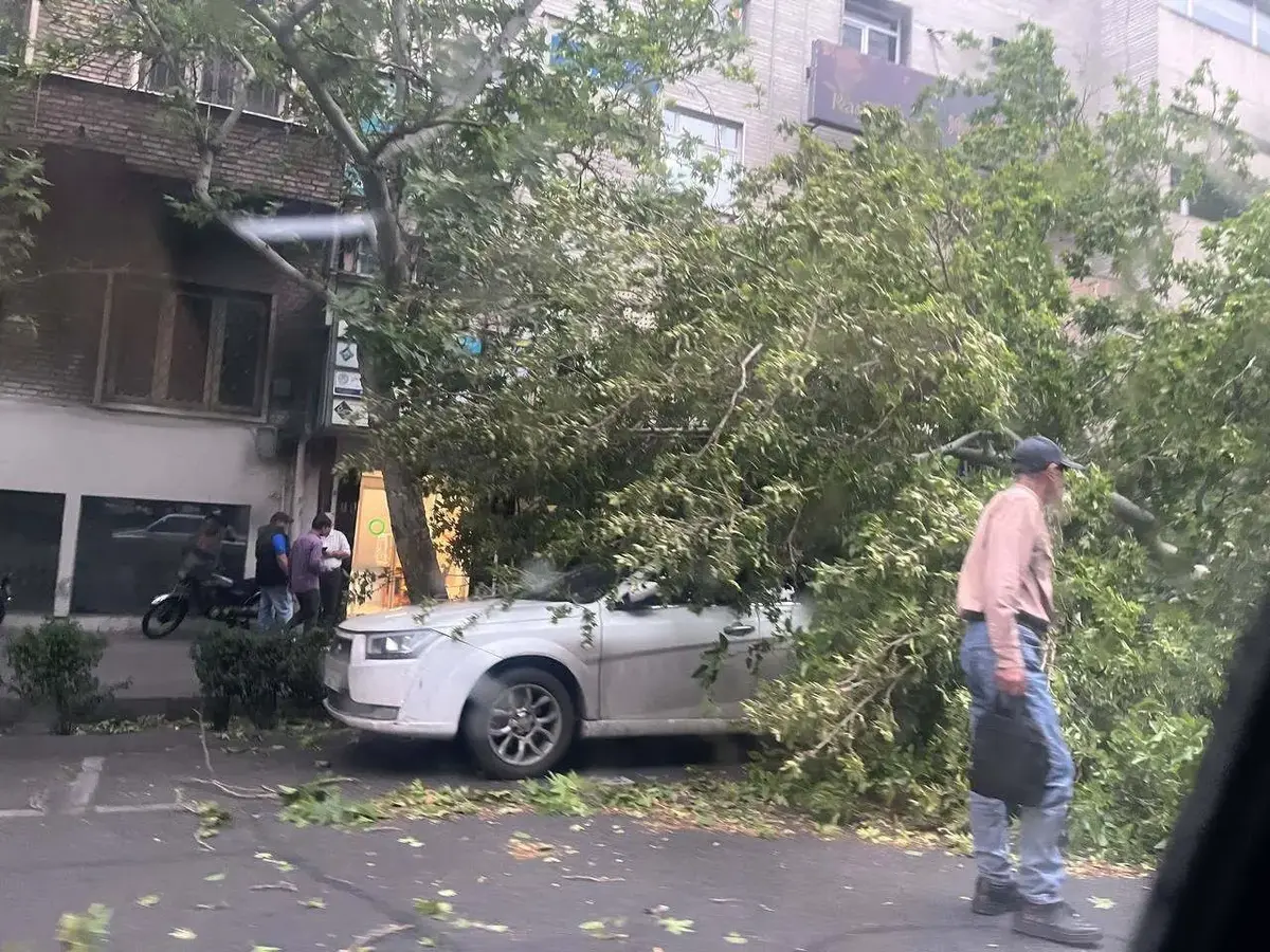 وقوع  طوفان شدید در تهران، چند درخت سقوط کردند+ فیلم