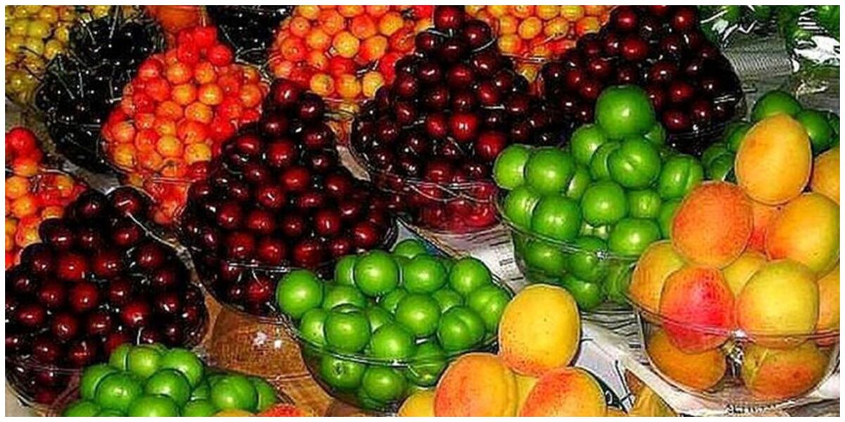 نوسان قیمت میوه‌های نوبرانه؛ قیمت گوجه سبز نجومی شد