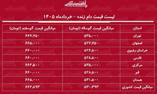 قیمت دام زنده امروز ۲۹ خرداد ۱۴۰۵ | گوسفند زنده کیلویی چند شد؟ + جدول