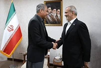 تهران میزبان مقام پاکستانی/ دیدار وزیر کشور پاکستان با پزشکیان