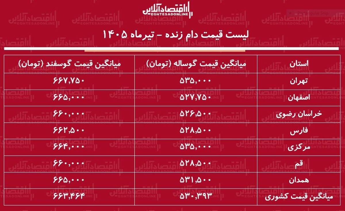 لیست قیمت دام زنده امروز ۱۲ تیر ۱۴۰۵ | گوساله زنده کیلویی چند شد؟ + جدول