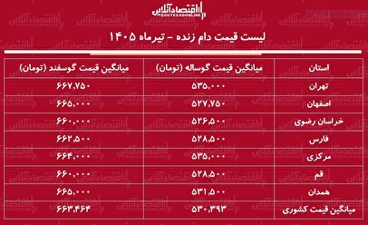 لیست قیمت دام زنده امروز ۱۲ تیر ۱۴۰۵ | گوساله زنده کیلویی چند شد؟ + جدول