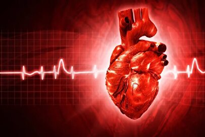 تپش قلب هنگام استراحت را جدی بگیرید / این بیماری‌ها می‌توانند عامل باشند