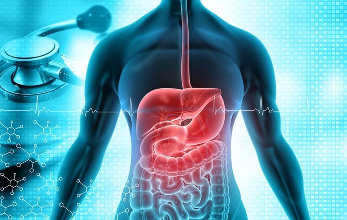 هشدار مهم برای روز‌های داغ تابستان / این روزها بیشتر مراقب سلامت گوارش باشید