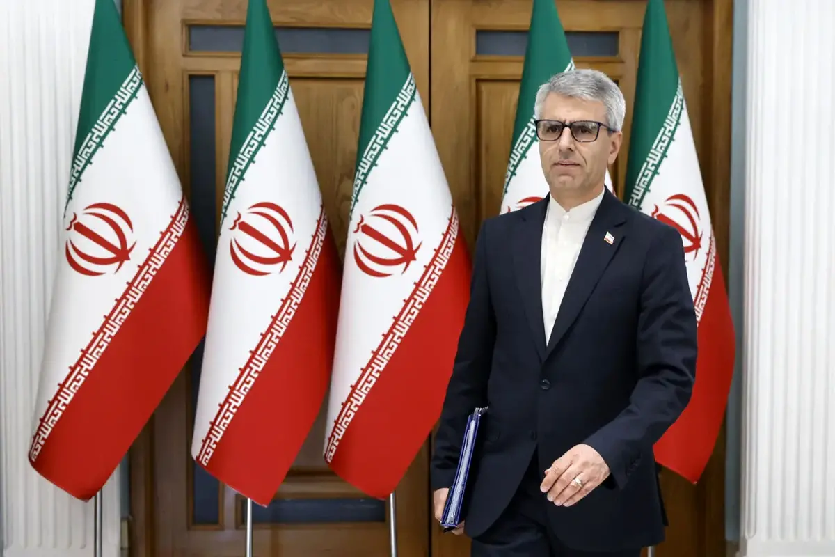 طعنه سنگین اسماعیل بقایی به ترامپ / گرسنگی در آمریکا حل شد؟