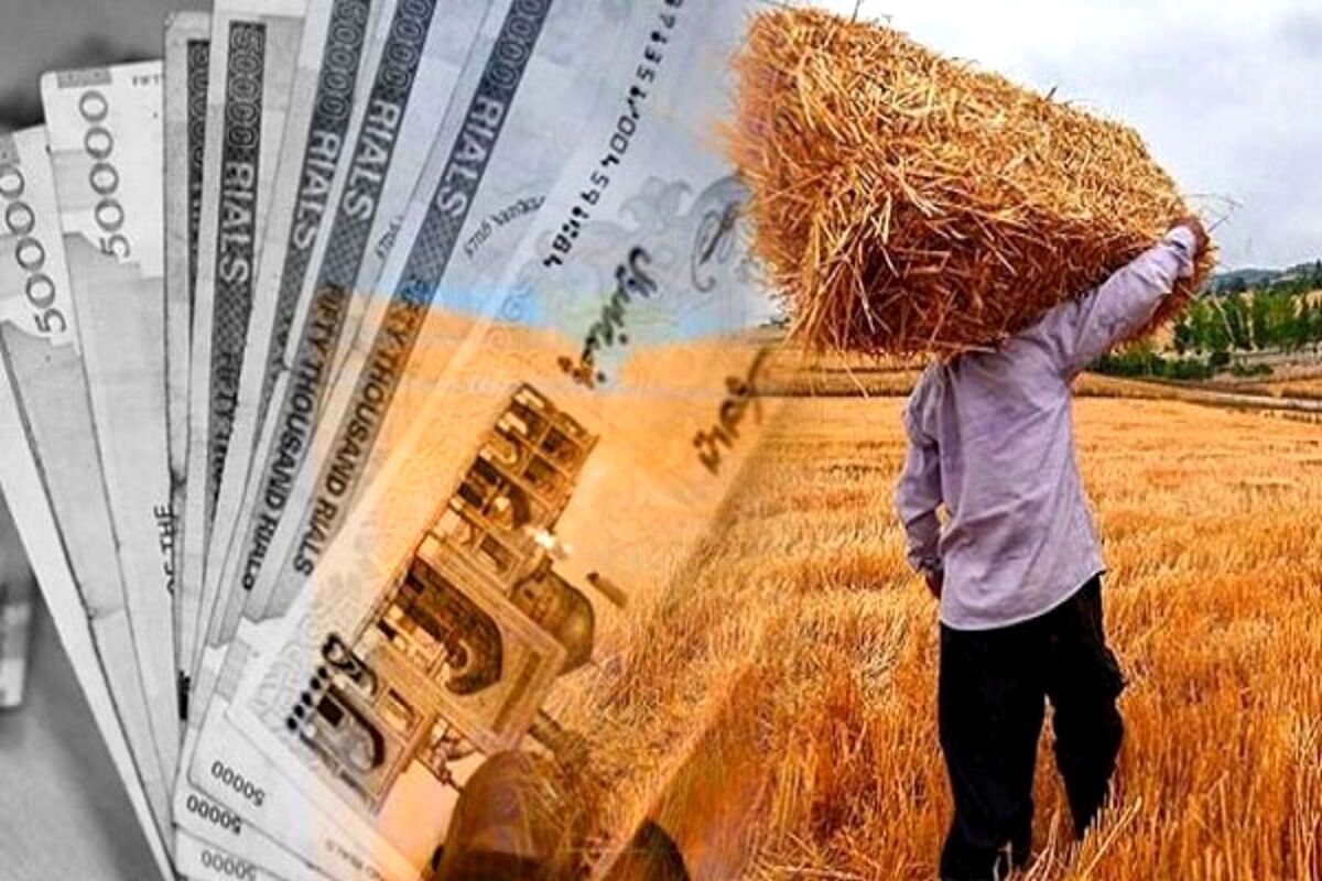 آخرین اخبار از پرداخت مطالبات گندم‌کاران / واریزی هفتگی متوقف شد