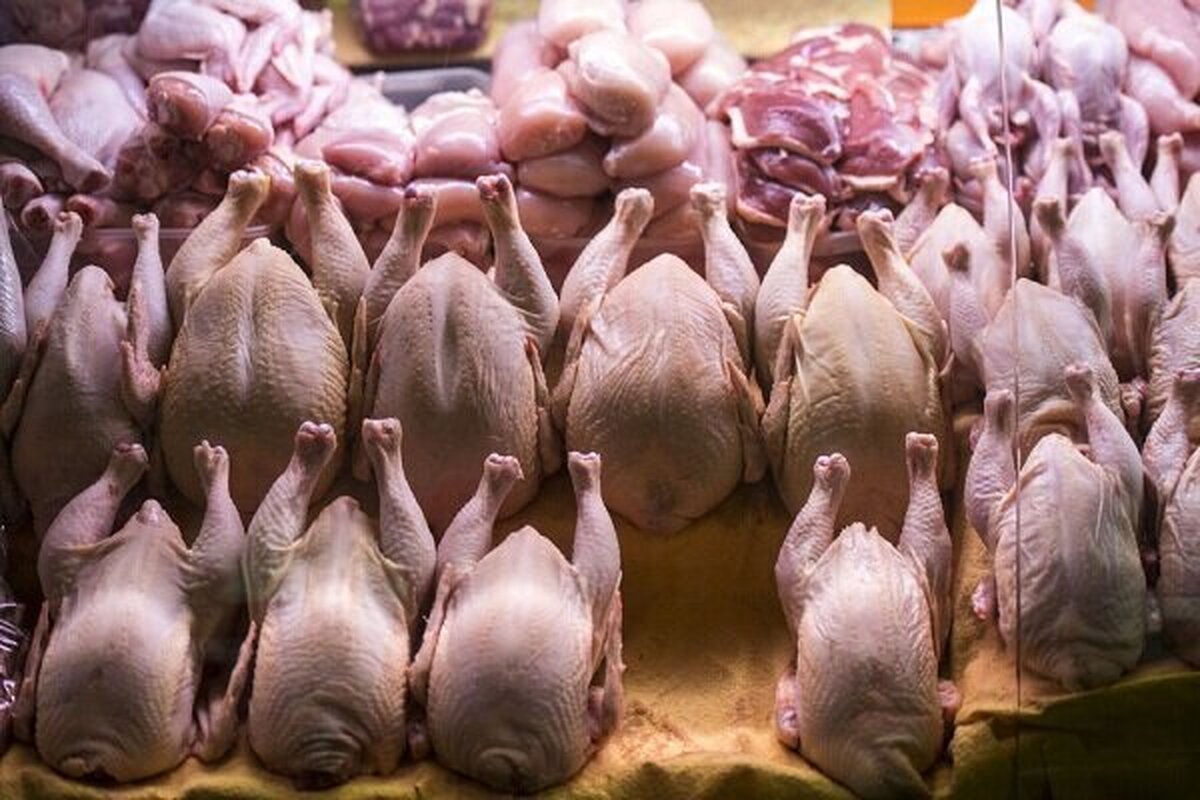 قیمت جدید گوشت مرغ مرداد ۱۴۰۵ / مرغ به کیلویی  ۶۷۵ هزار تومان هم رسید!
