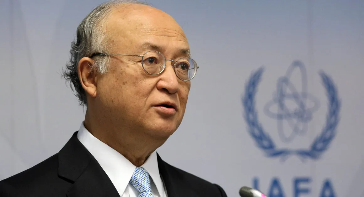Iran nuclear deal still fragile, U.N. atomic chief says