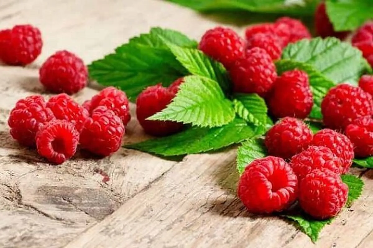 میوه ای خوشمزه برای لاغری و تقویت حافظه