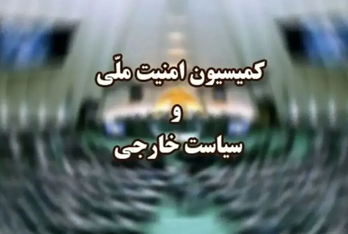 طرح مقابله با نفوذی‌ها در کمیسیون امنیت ملی تصویب شد