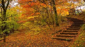 سفر پاییزی با خانواده؛ برنامه‌های خانوادگی و تفریحات پاییزی
