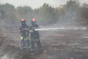 جزئیات سوختن ۱۰۰ اصله درخت در آتش‌سوزی مهیب مشهد