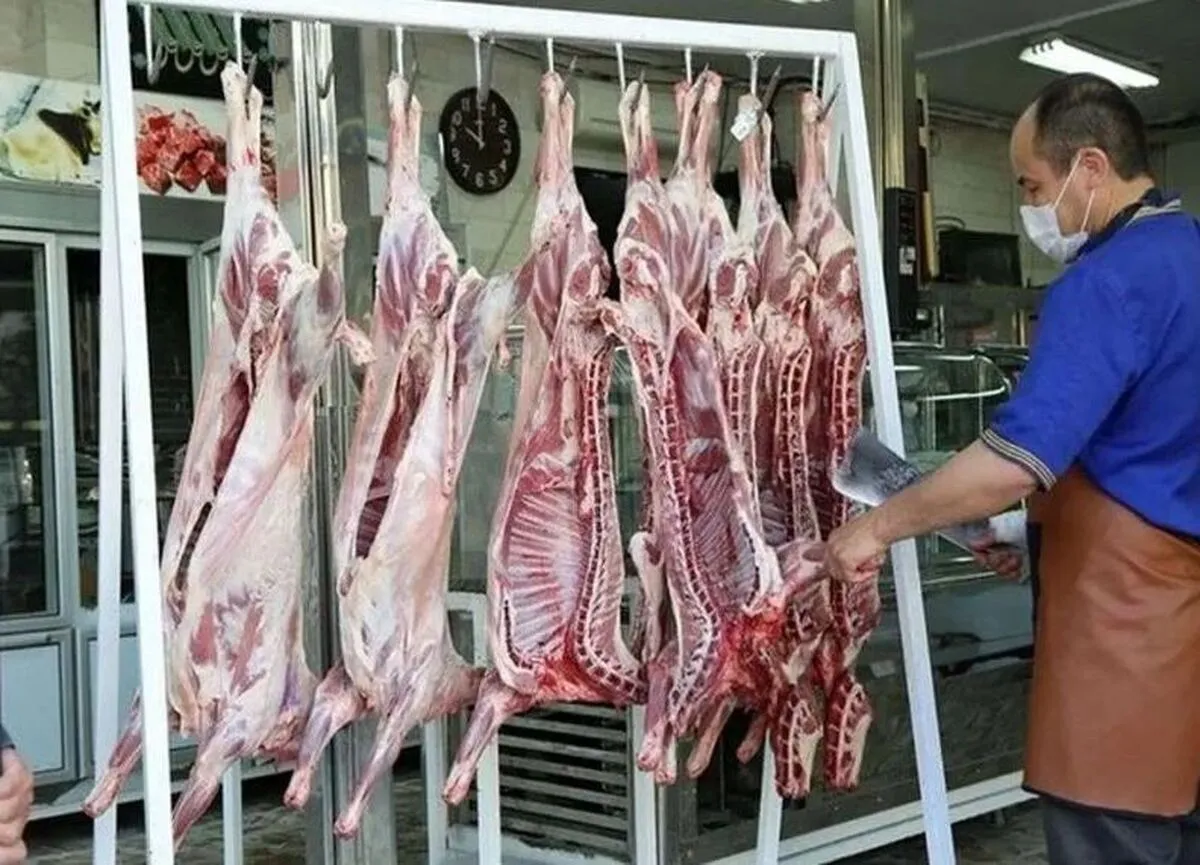 گوشت ارزان می‌شود؟ / افزایش ۲۸ درصدی عرضه گوشت قرمز داخلی