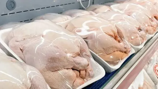 مرغ