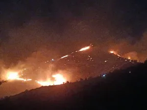 آتش دوباره به جان پارک ملی بمو شیراز افتاد / تلاش برای مهار آتش ادامه دارد