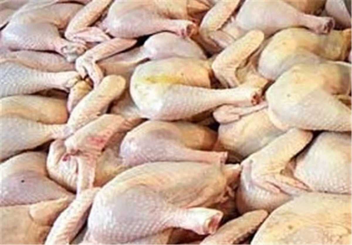 قیمت انواع گوشت در میادین میوه