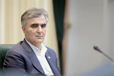 Farzin appointed president's special economic advisor