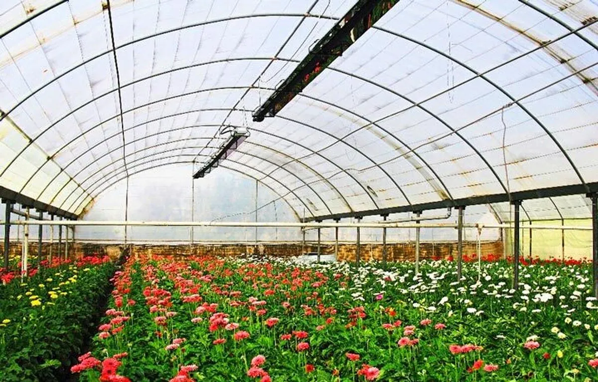 گرمایش گلخانه با ۲ سیستم پرکاربرد