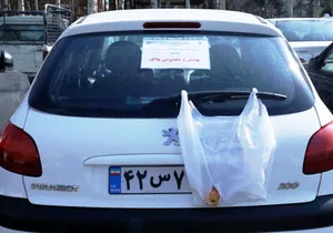 برخورد قضایی با خودرو‌های پلاک مخدوش / پلیس: یکسال حبس در انتظار متخلفان