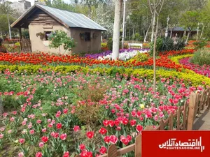 شهرداری کرج در یازدهمین «جشنواره لاله‌های کرج» میزبان پایتخت نشینان است