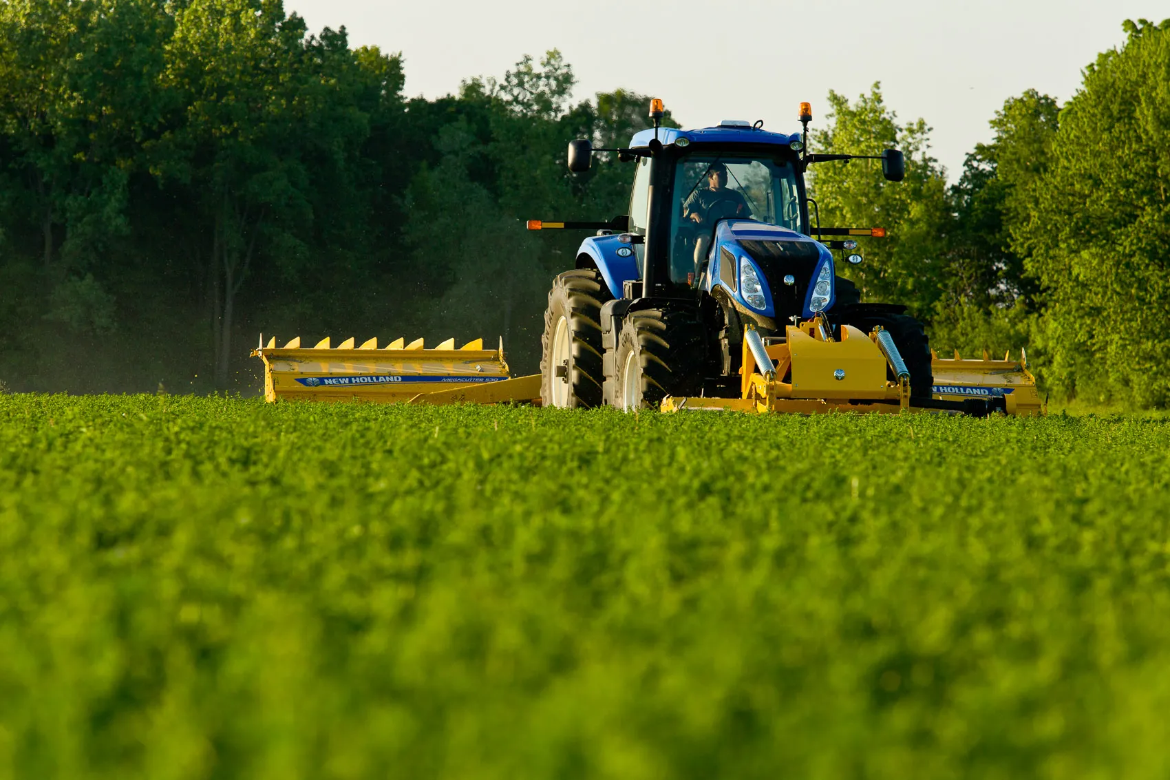 Agriculture Entitled to 10% of NDFI Earnings