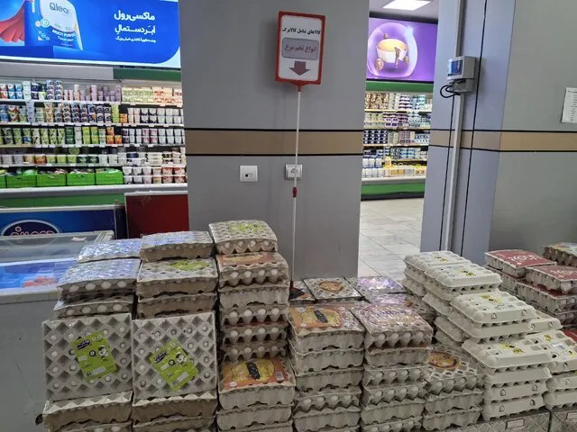 تخم مرغ