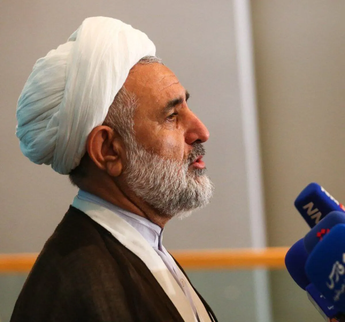 واکنش ذوالنوری به ممنوعیت سفر ایرانی‌ها به آمریکا: ملت ما صف نبسته‌اند برای ویزای شما!