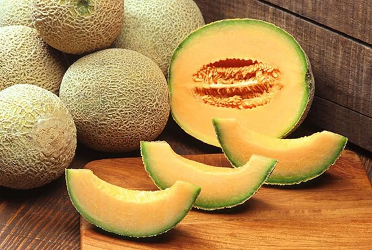 بررسی خواص و فواید ملون برای درمان و زیبایی