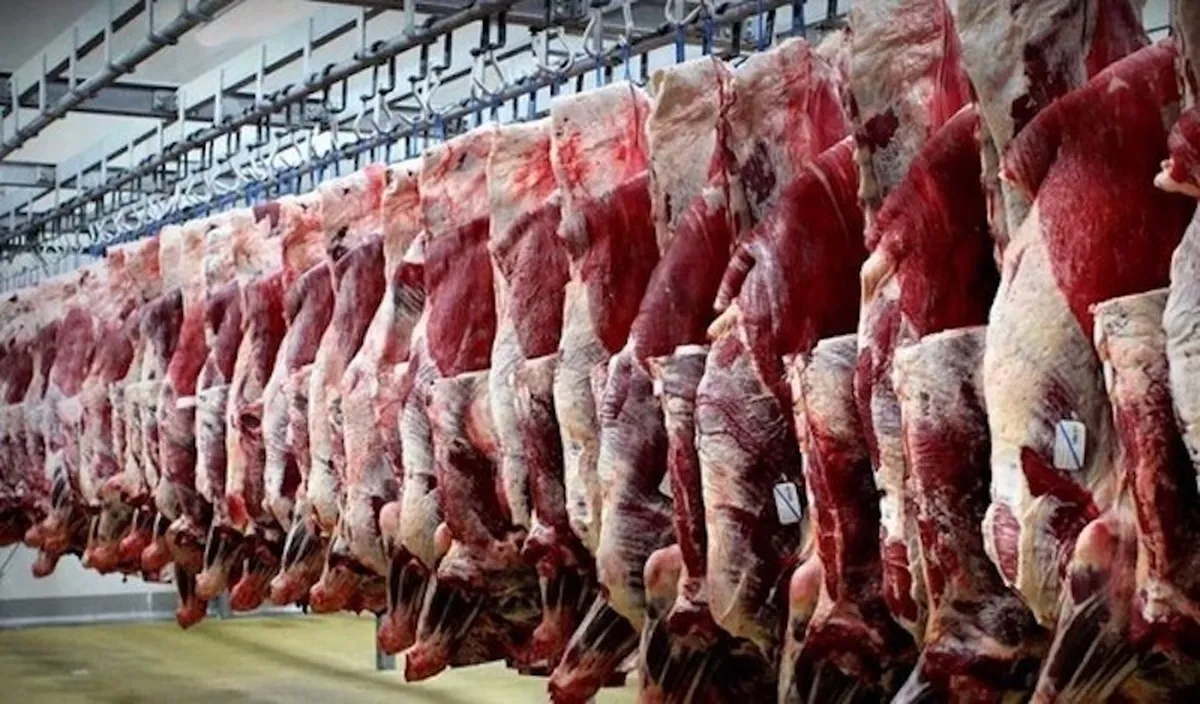 قیمت گوشت کاهشی شد