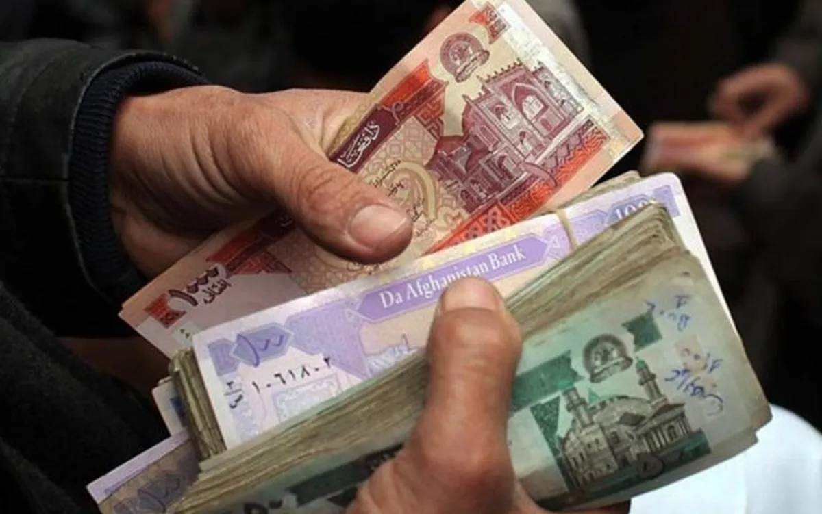 افغانستانی‌ها در ایران با پول‌های خود چه‌ کردند؟ + فیلم
