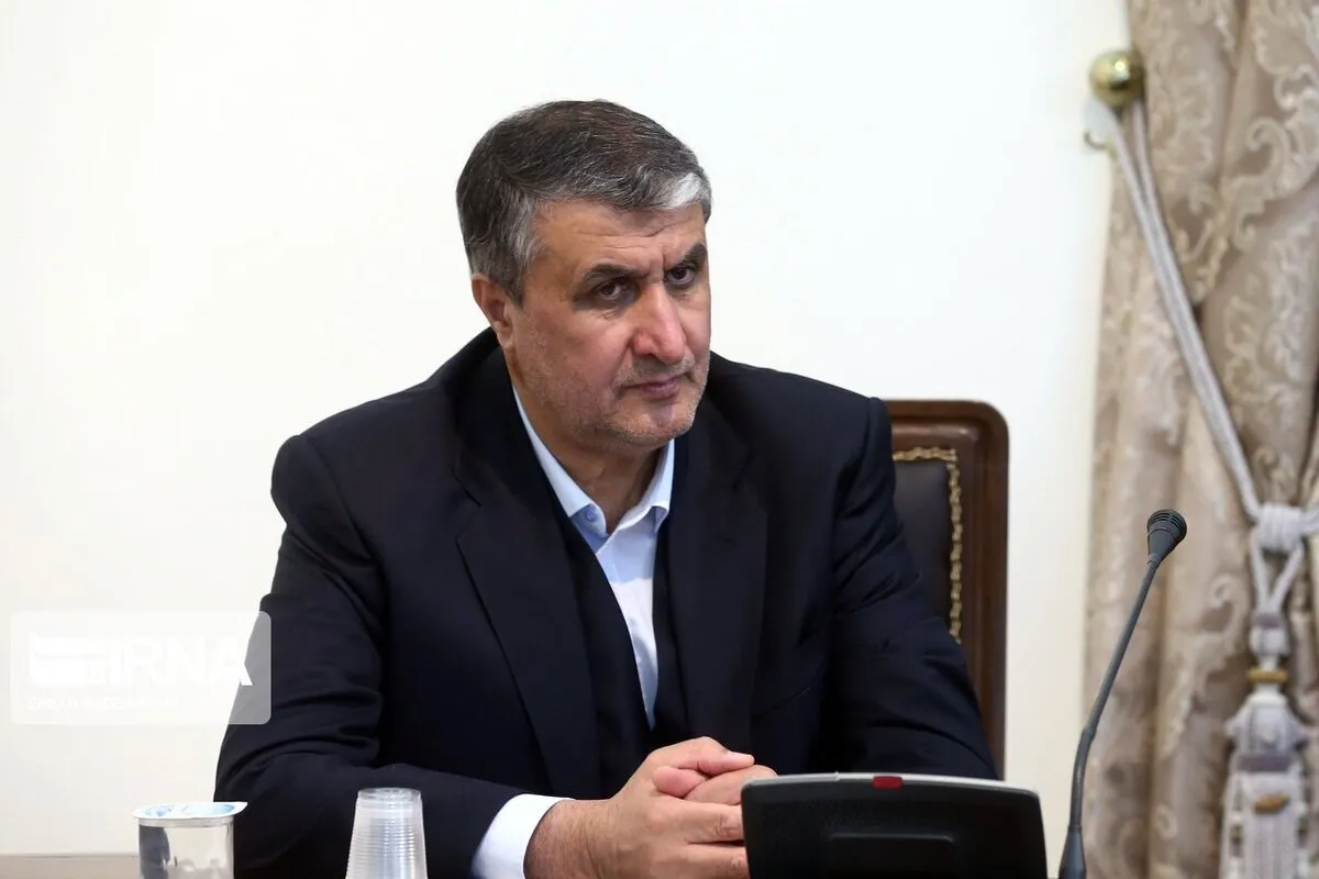 No IAEA inspectors currently in Iran: nuclear chief