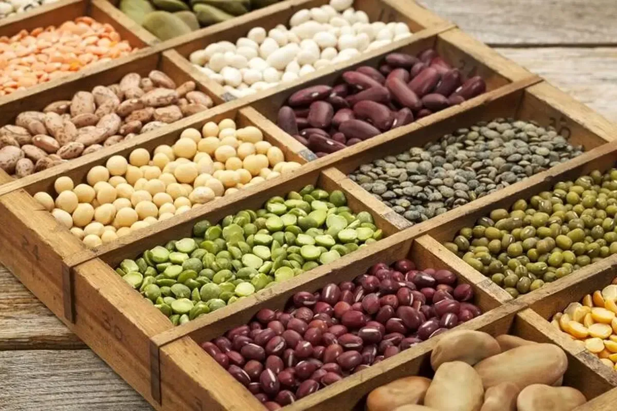 افزایش نجومی قیمت حبوبات در بازار امروز/ لوبیاچیتی به کیلویی چند تومان رسید؟
