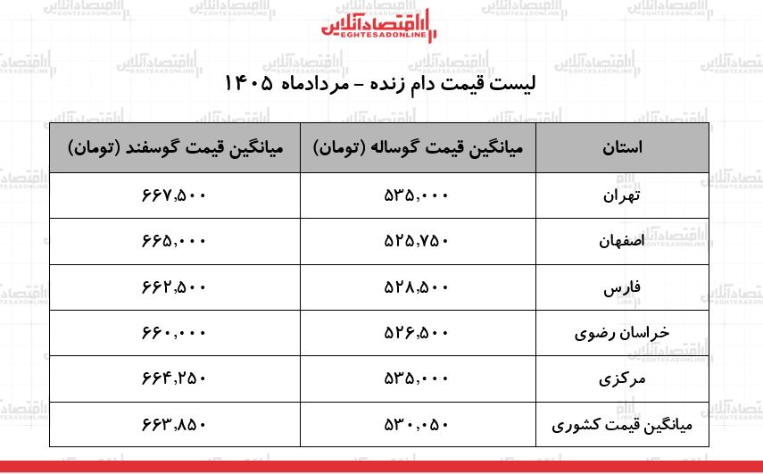 لیست قیمت دام زنده امروز ۱۶ مرداد ۱۴۰۵ | گوسفند و گوساله زنده کیلویی چند شد؟ + جدول