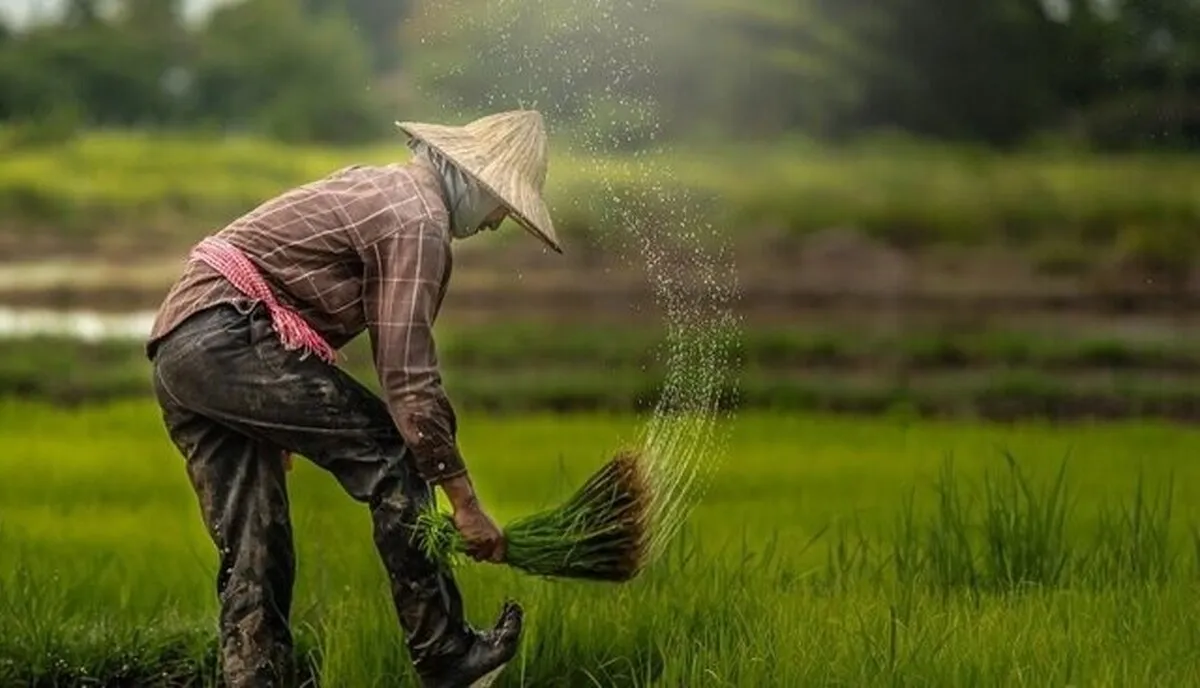 خبر خوش برای کشاورزان