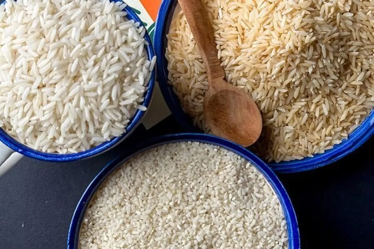 افزایش قیمت برنج در راه است!