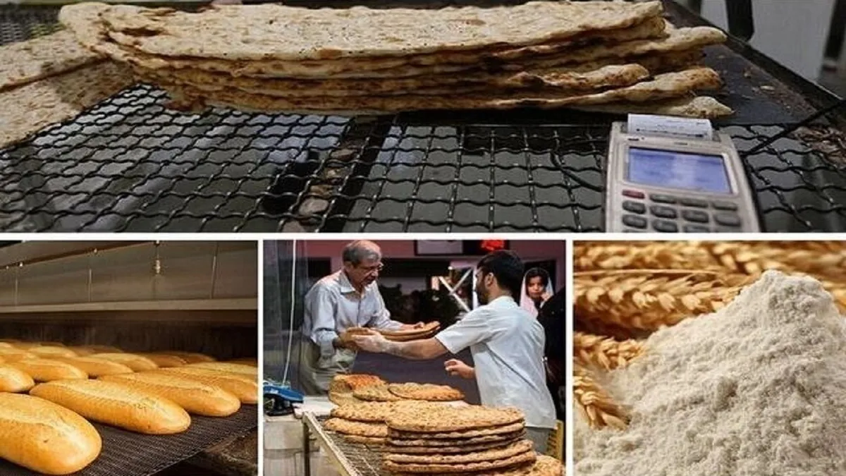 قیمت نان بالا رفت؟ / معاون وزیر توضیح داد