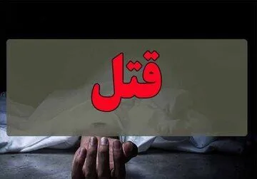 قتل راننده بی‌ام‌و در دور دور شبانه