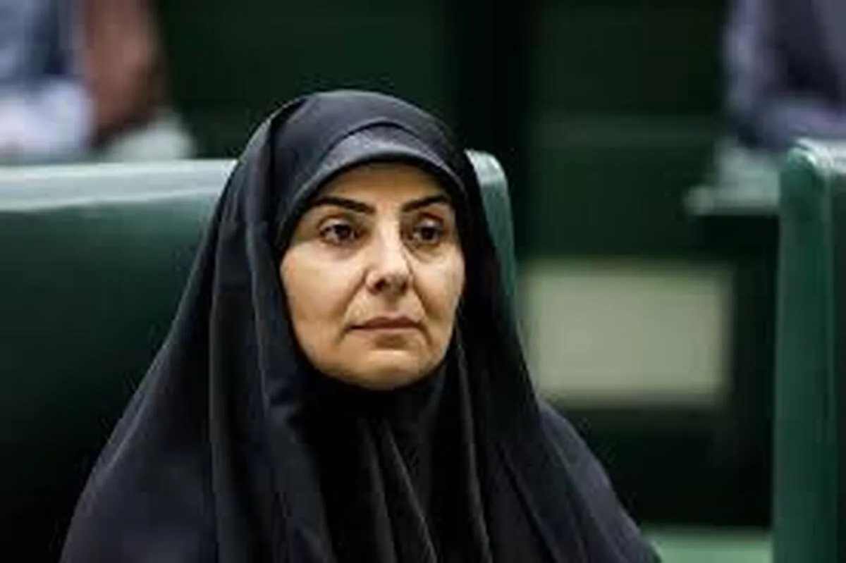 رئیس امور اطلاع‌رسانی دولت: عده‌ای هر روز در حال پخش شایعات کودکانه هستند