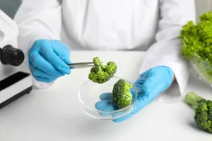 این سبزی، می‌تواند یک بیماری لاعلاج را درمان کند!