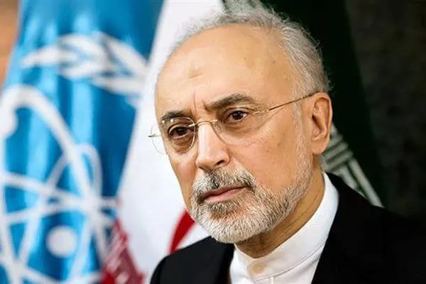 علی اکبر صالحی: با دلار نمی‌شود حمایت خرید/ سیدحسن نصرالله یا عبدالملک الحوثی را می‌شود با دلار خرید؟