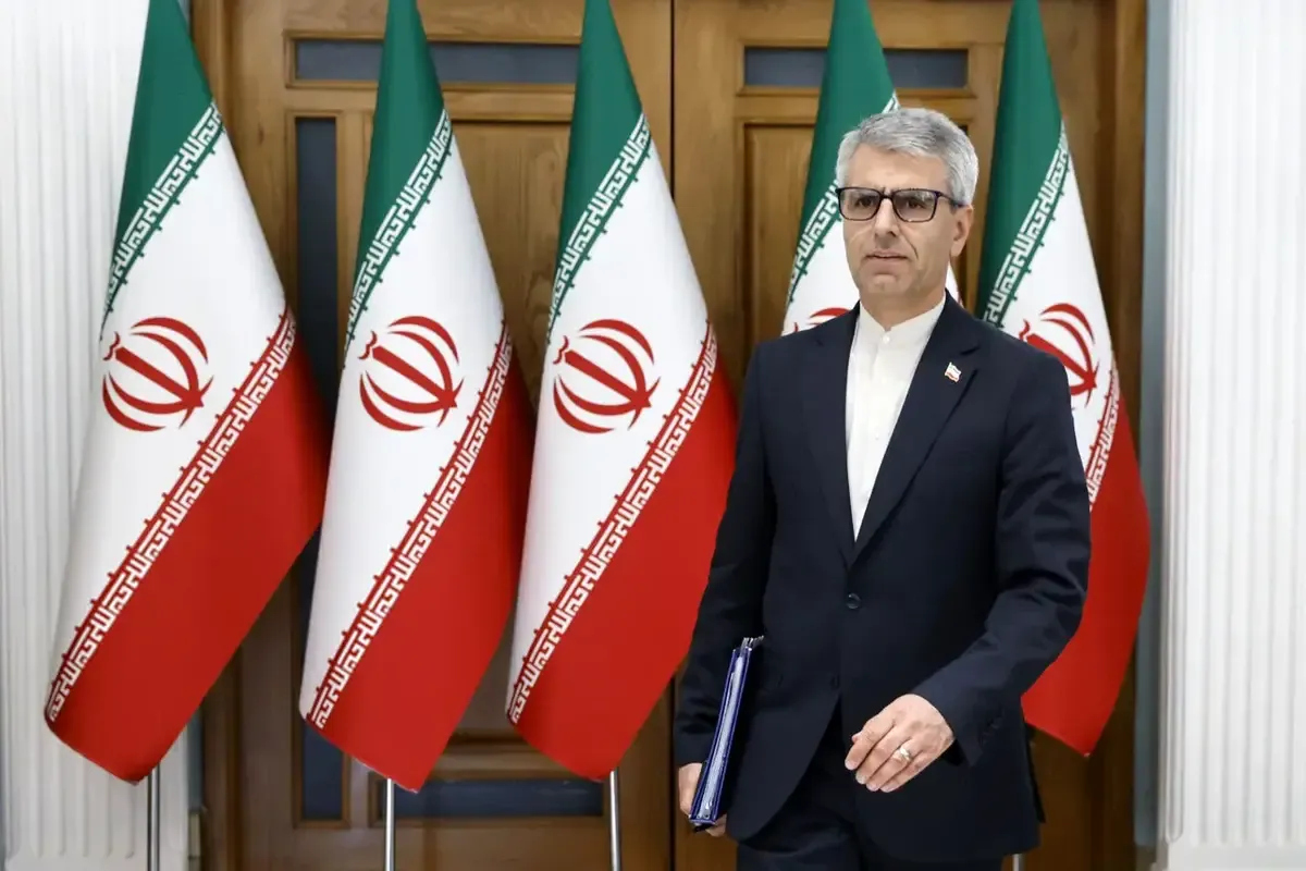 طعنه سنگین اسماعیل بقایی به ترامپ / گرسنگی در آمریکا حل شد؟